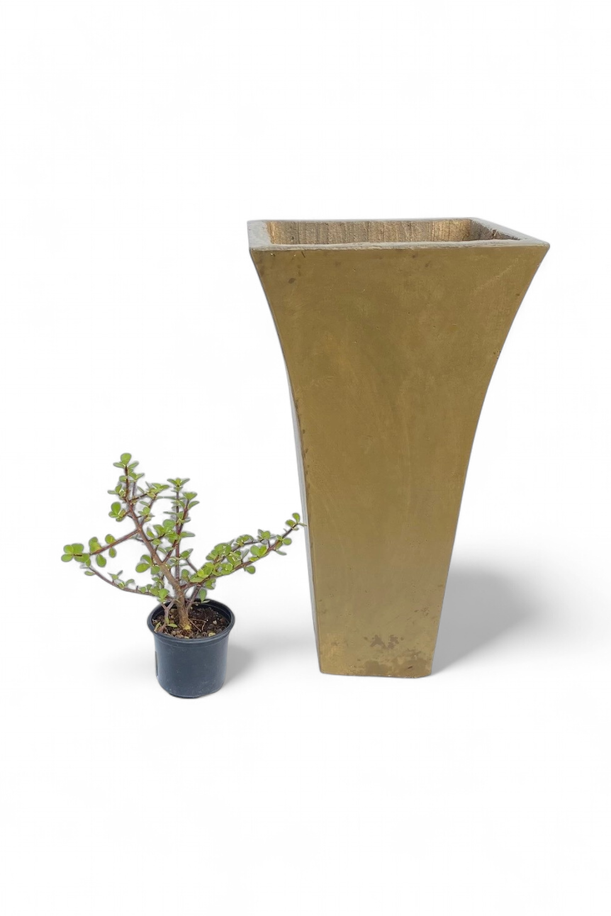 Lorraine Medium Antique Amber Finish - H600mm - 14kg