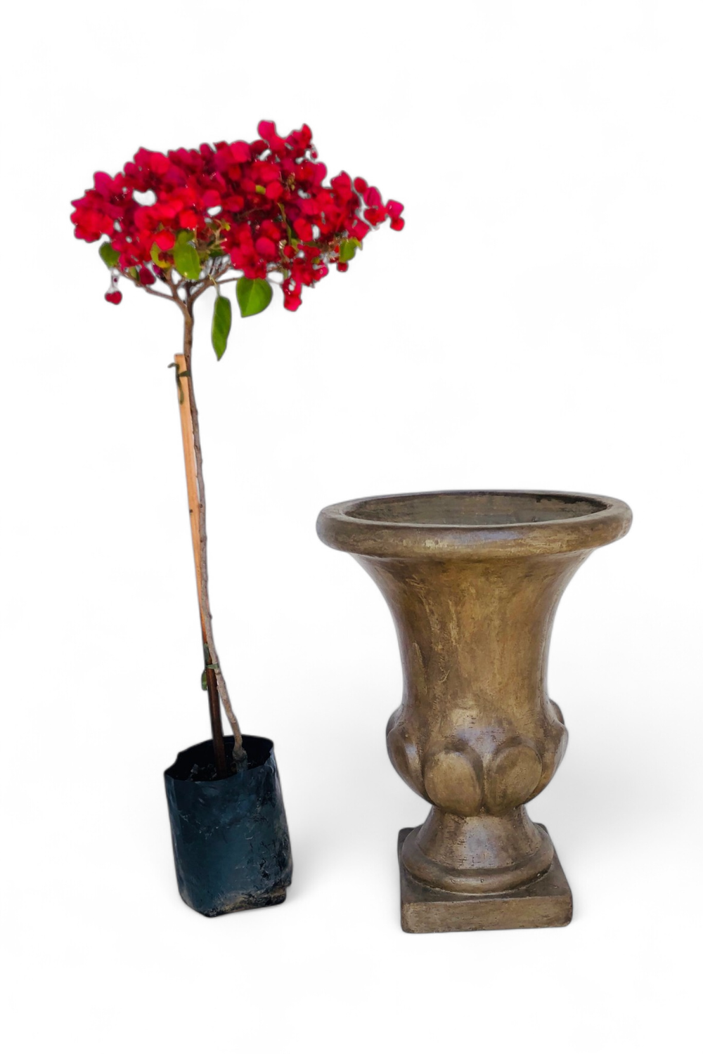 Joshua Urn Small Weathered Brown Finish - H700mm x W Top 520mm x W Base 280mm - 25kg
