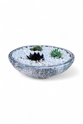 Pradia Cactus and Succulent Bowl Whitewash Finish - H220mm x W410mm - 8kg
