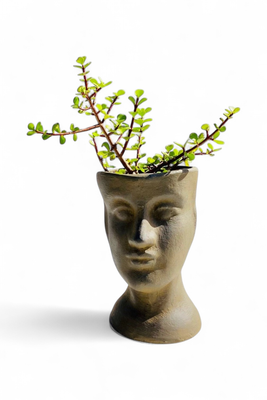 Half Head Planter Medium Antique Amber Finish - H240mm x W150mm - 2.86kg