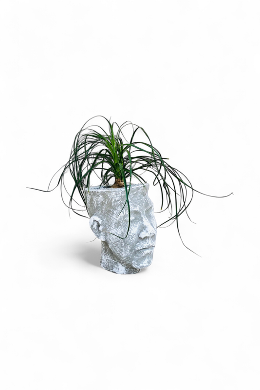 Half Head Planter Medium Whitewash Finish - H240mm x W150mm - 2.86kg