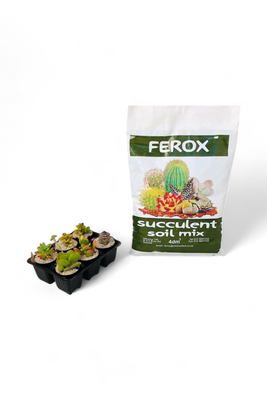 Succulent and Cactus Organic Soil Mix 4dm3
