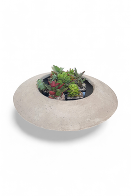 Succulent Planter Cement Finish - H150mm x W560mm