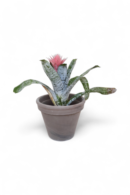Flower Pot Basalt 28cm
