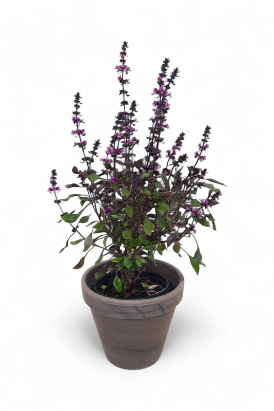 Flower Pot Basalt 14cm