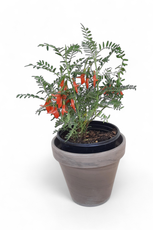 Flower Pot Basalt 18cm