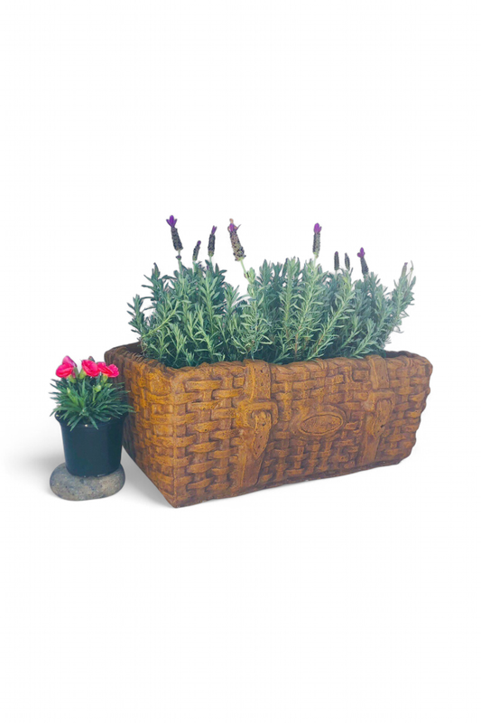 Picnic Basket Large Honeyclay Finish - L620mm x W390mm x H220mm - 23kg