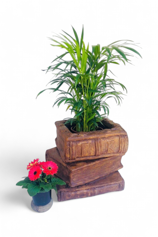 Three Book Planter Honeyclay Finish - H450mm x W420mm -  37kg