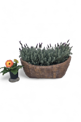 Woven Crib Planter Honeyclay Finish - L750mm x W480mm x H180mm - 19kg