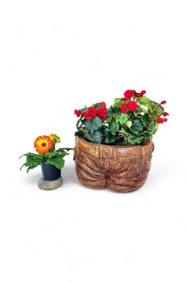 Half Jean Planter Honey Clay Finish - L440mm x W390mm x H250mm - 14kg