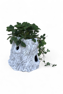 Upright Log Planter Whitewash Finish - L600mm x W480mm x H460mm - 26kg