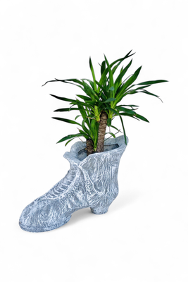 Shoe Planter Whitewash Finish - L560mm x H350mm x W310mm - 17kg