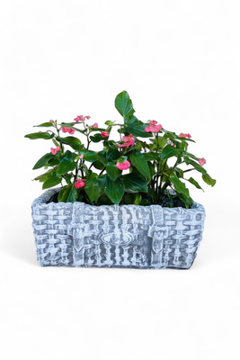 Picnic Basket Large Whitewash Finish - L620mm x W390mm x H220mm - 23kg