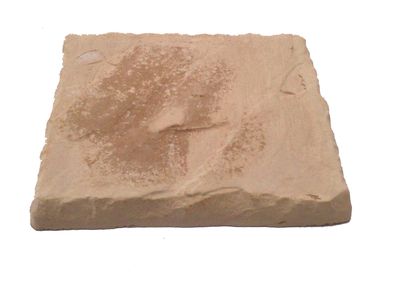 Mountain Slate Paver Soft Tan - 400x400x40mm - 12.4kg