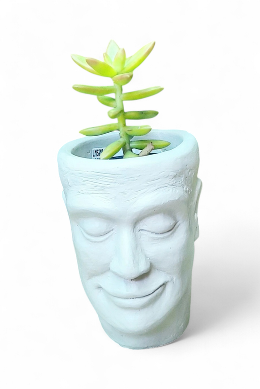 Adam Jnr Head Planter Cement Colour Finish - H135mm x W100mm - 0.9kg