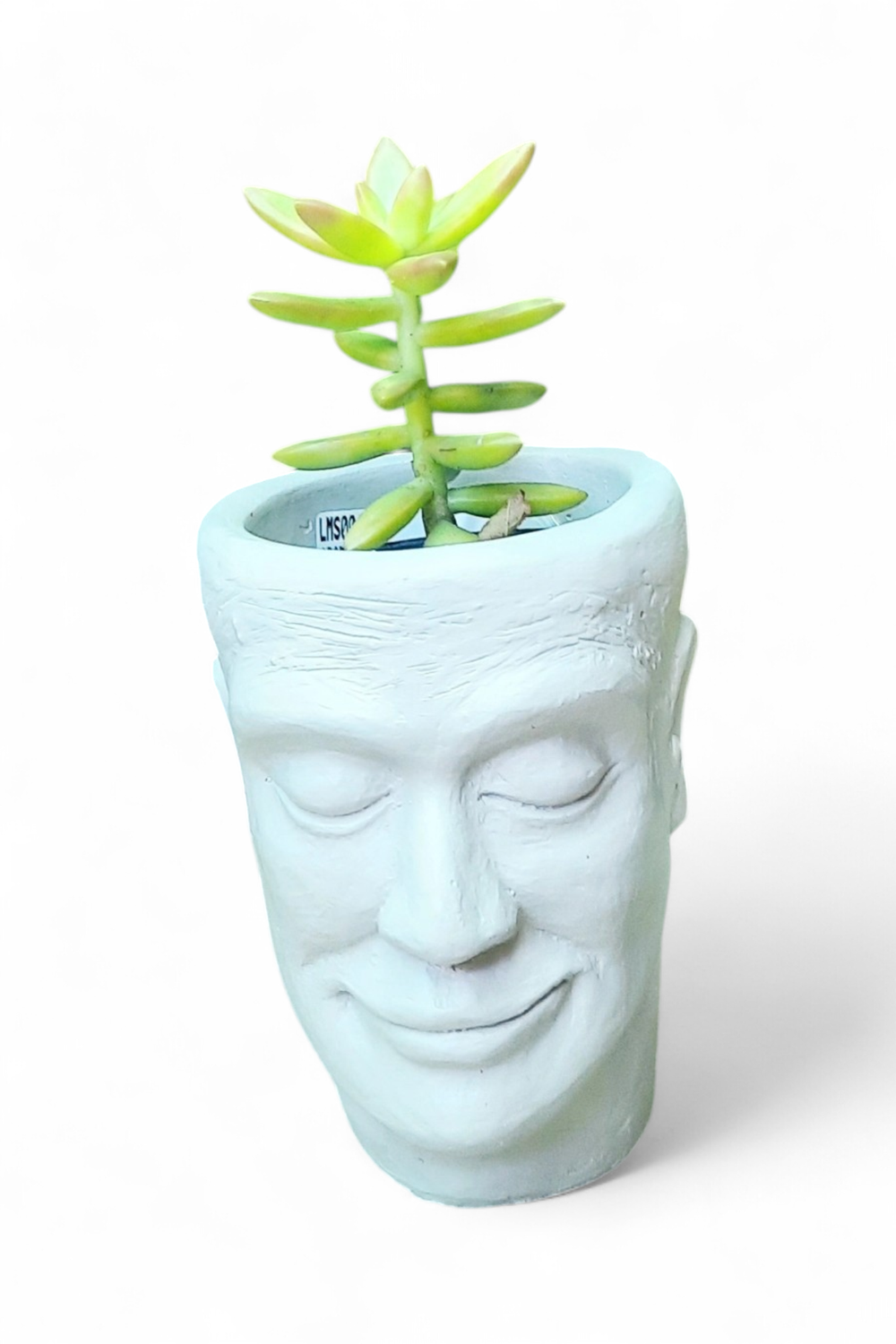 Adam Jnr Head Planter Cement Colour Finish - H135mm x W100mm - 0.9kg