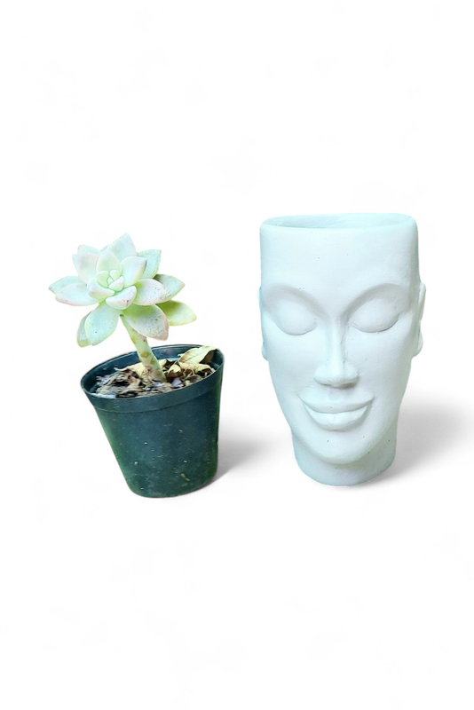 Mamma Jnr Head Planter Cement Colour Finish - H130mm x W90mm - 0.9kg