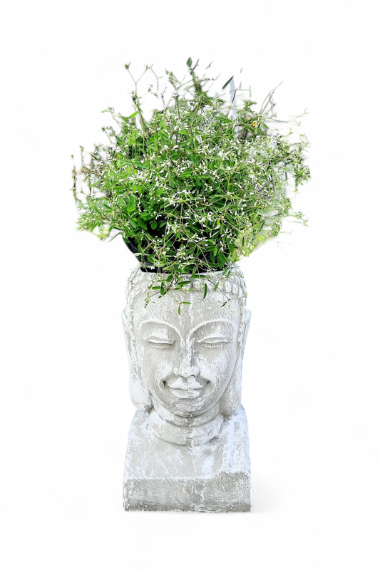 Buddha Head Planter Whitewash Finish - H430mm x W230mm - 13kg