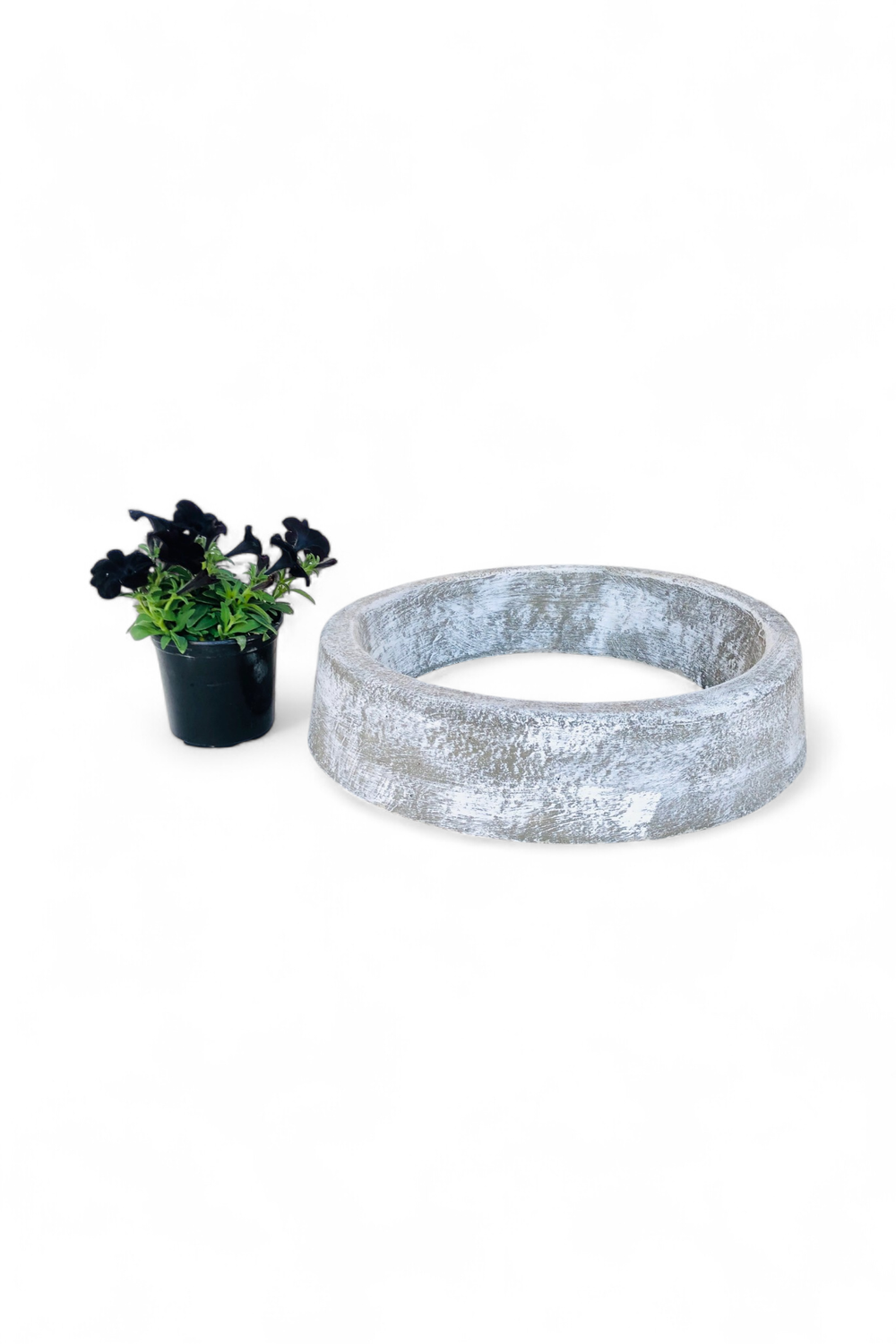 Tree Ring Medium Complete Whitewash Finish - W520mm - 21kg