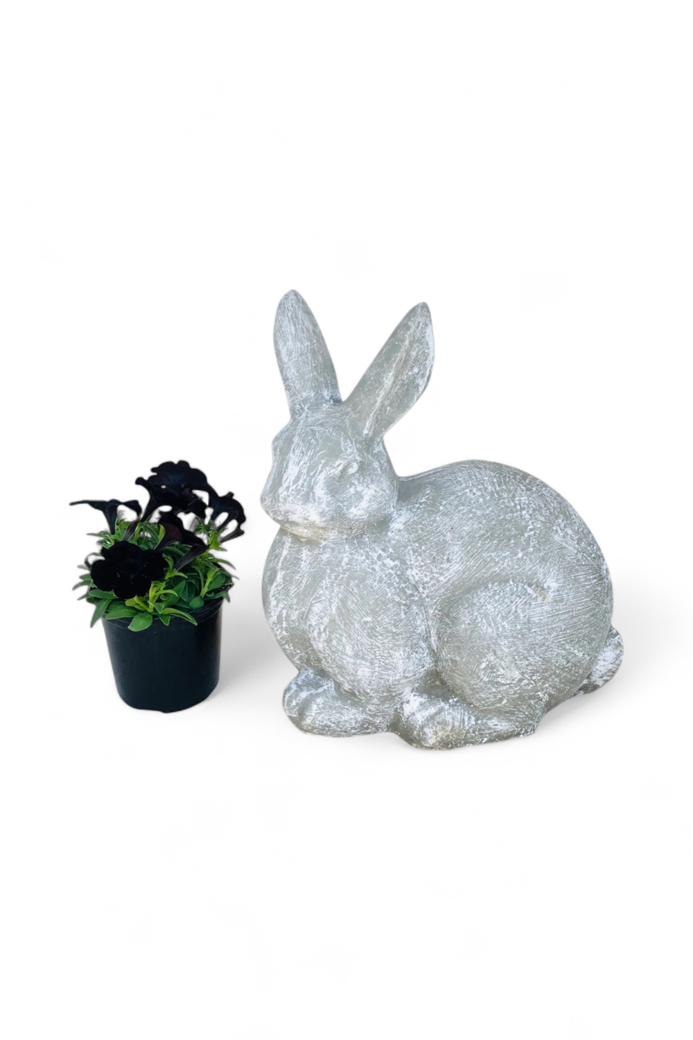 Rabbit Whitewash Finish - H425mm x W380mm - 34kg