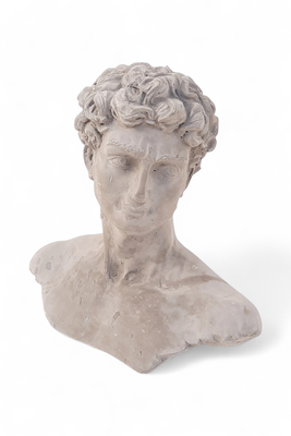 David Bust Cement Finish - H260mm x W270mm