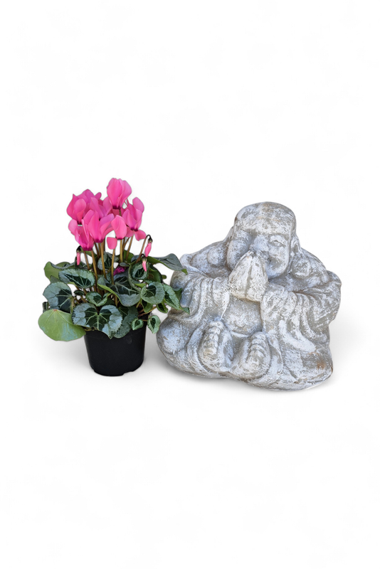 Sitting Buddha Whitewash Finish - H330mm x W360mm - 13kg