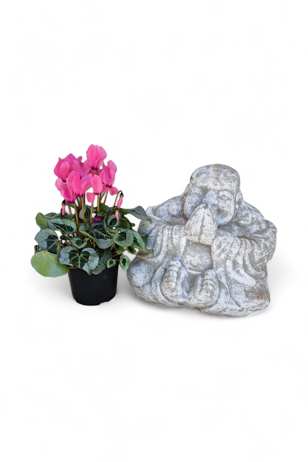 Sitting Buddha Whitewash Finish - H330mm x W360mm - 13kg