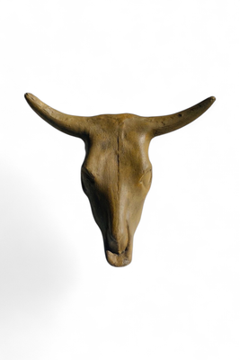 Cattle Head Wall Mount Antique Amber Finish - H400mm x W490mm - 11kg