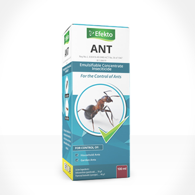 Ant 100ml