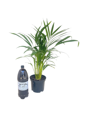 SuperGro 100% organic Fertilizer 2L (makes 20 L)