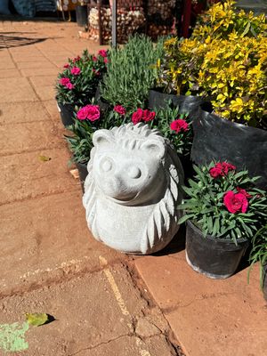 Hedgehog Small Whitewash Finish - H270mm - 6kg