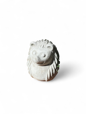 Hedgehog Small Whitewash Finish - H270mm - 6kg