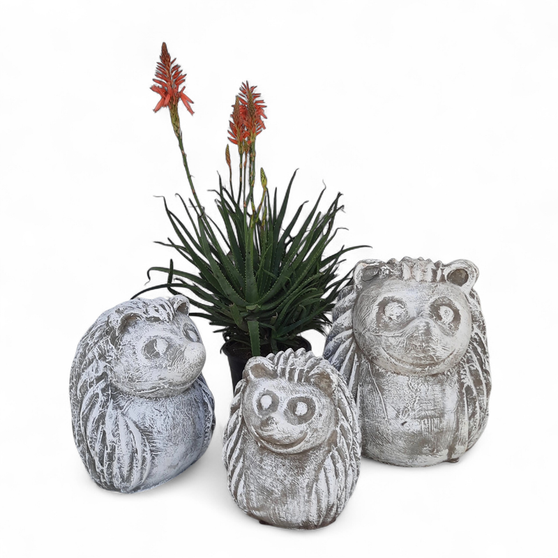 Hedgehog Medium Whitewash Finish - H330mm - 8kg