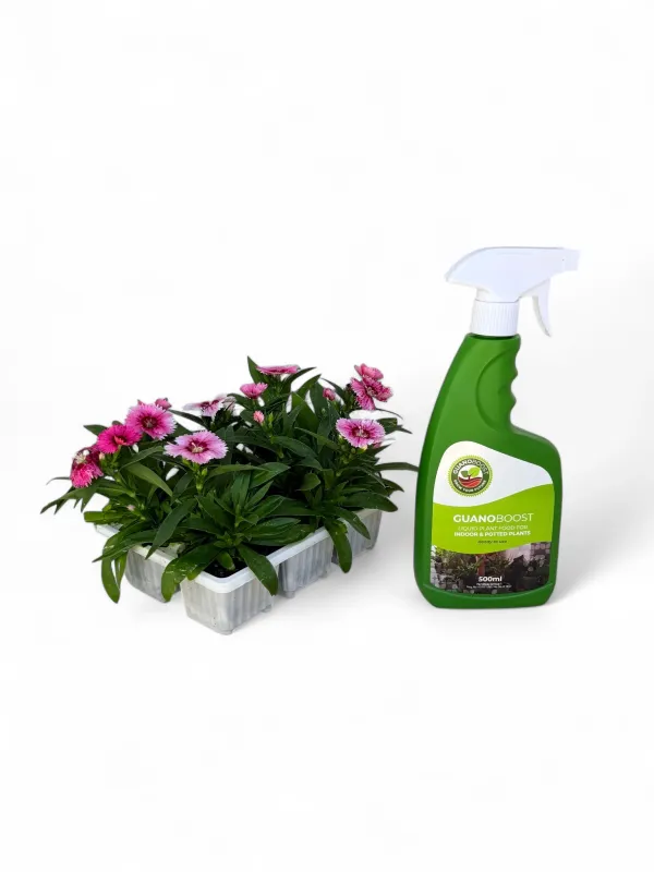 GuanoBoost Ready to Use Liquid Plant Food For Indoor &amp; Potted Plants Spray Bottle 500ml