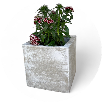 Square Pots