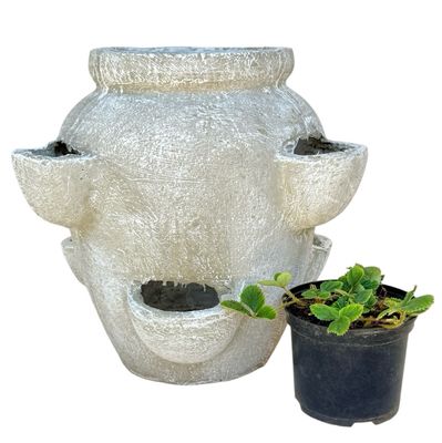 Strawberry Pot Whitewash Finish - H400mm -W400mm -Mouth200mm - 15kg