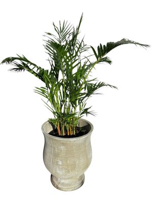 Lizelle Pot Whitewash Finish - H505mm x W420mm - 21kg