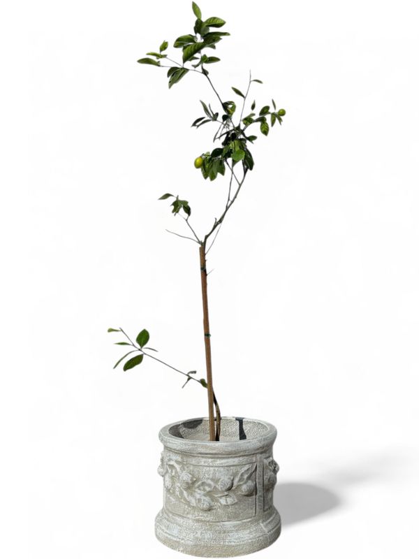 Lemon Pot Whitewash Finish - H400mm x W460mm - 30kg