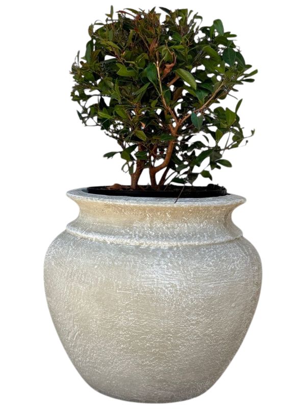 Ouma Pot Whitewash Finish - H340mm x W300mm - 12kg