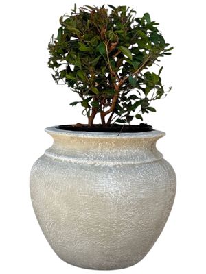 Ouma Pot Whitewash Finish - H340mm x W300mm - 12kg