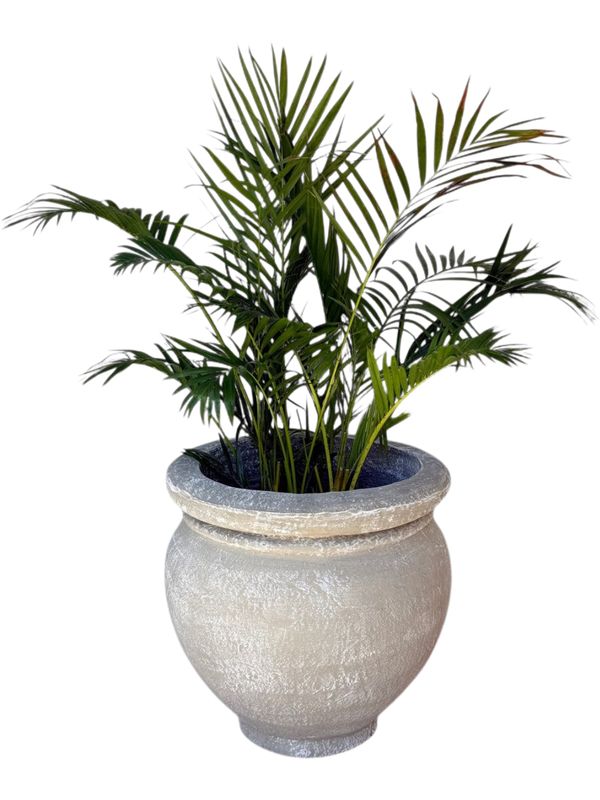 Malaika Round Pot Whitewash Finish - Height 520mm - 37kg