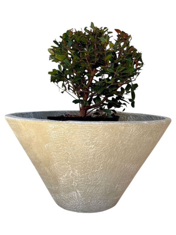 Tshepo Pot Whitewash Finish - H300mm - 12kg