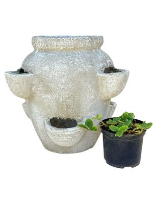 Strawberry Pot Whitewash Finish - H400mm -W400mm -Mouth200mm - 15kg
