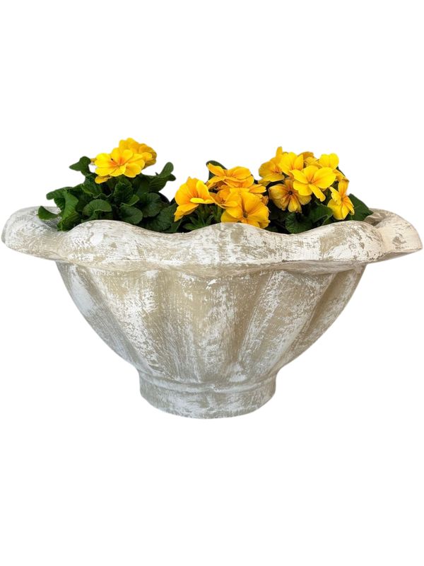 Scallop Wall Pot Whitewash Finish Including Steel Wall Mount - H300mm x W560mm - 10kg