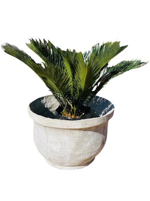Rim Planter Whitewash Finish - H460mm x W600mm - 33kg