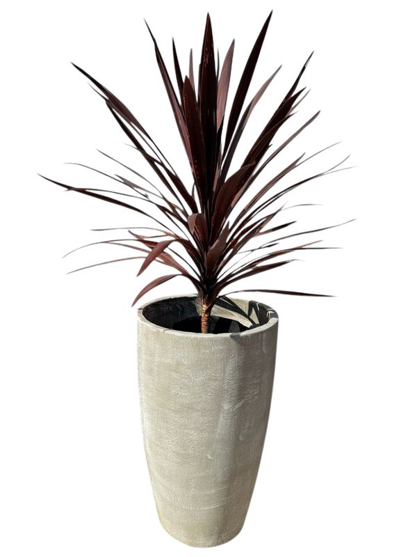 Lechuza Planter Large White Wash Finish - H760mm x W475mm - 28Kg