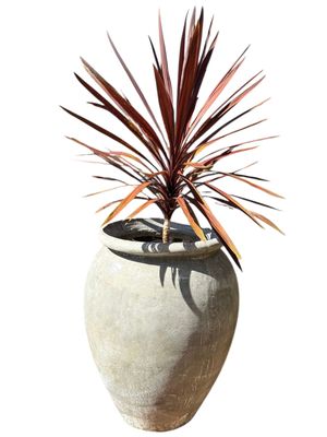 Sebastian Jar X-Large Whitewash Finish - H930mm-W700mm-Mouth500mm - 60kg