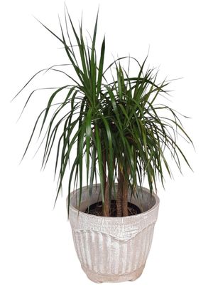 New Fluted Round Pot Large - H340mm x W400mm - 14kg