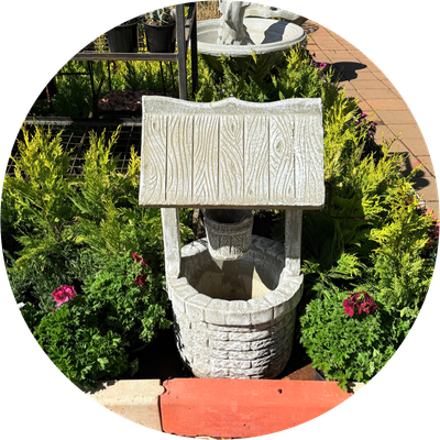 Wishing Well
