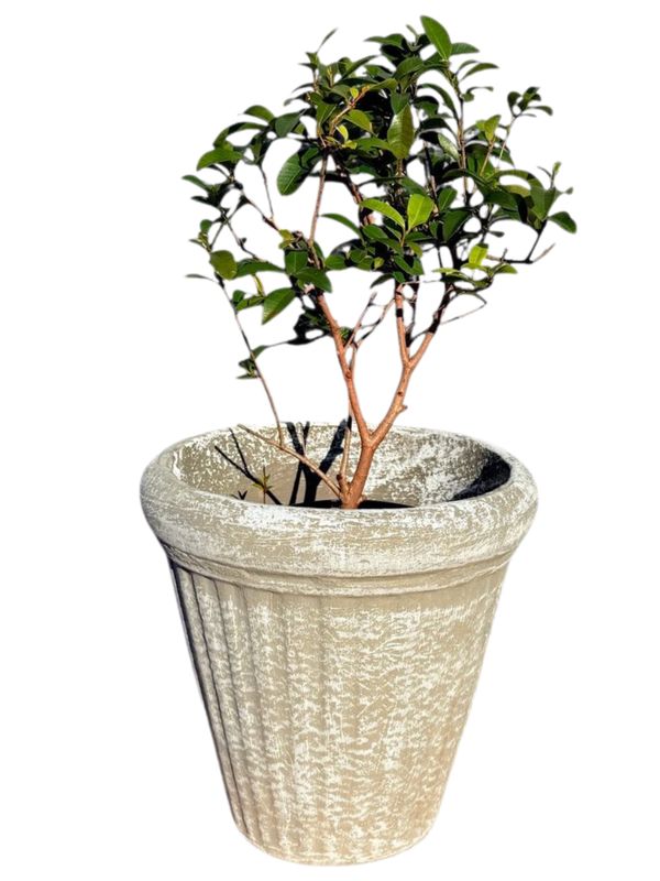 Wave Pot Medium Whitewash Finish - H350mm x W240mm - 8kg
